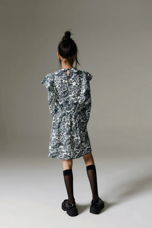Jaipur Dress-Majestic Paisley