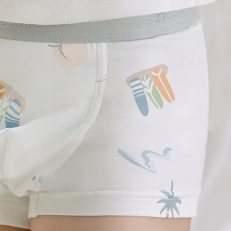 Nest Designs-Boys Boxer Briefs Underwear(2 Pack) - Surf Camp