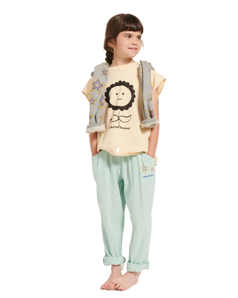 EMBROIDERED STARS CARROT PANTS-MINT