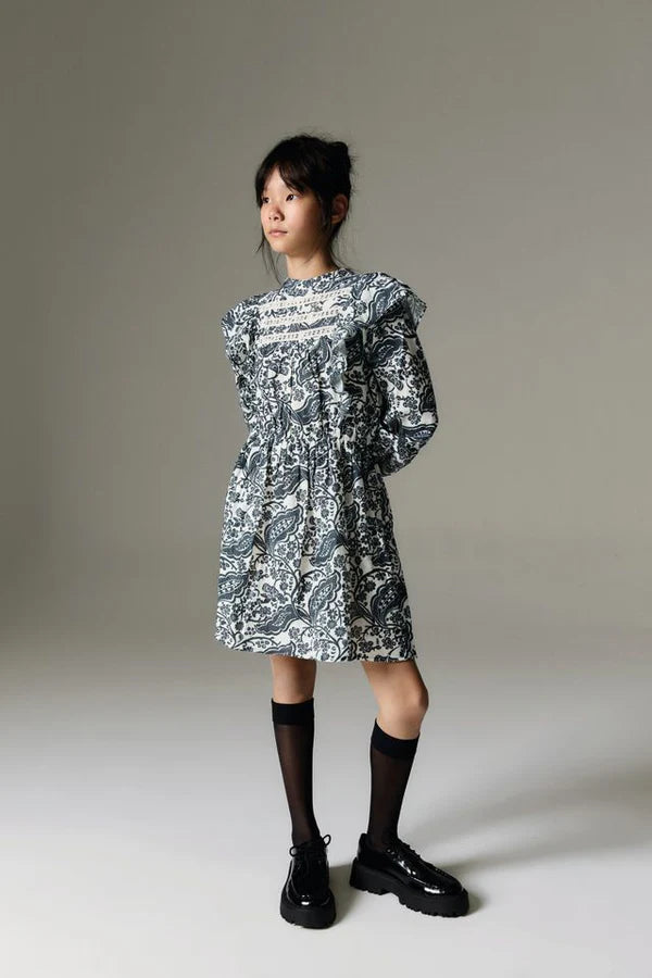 Jaipur Dress-Majestic Paisley