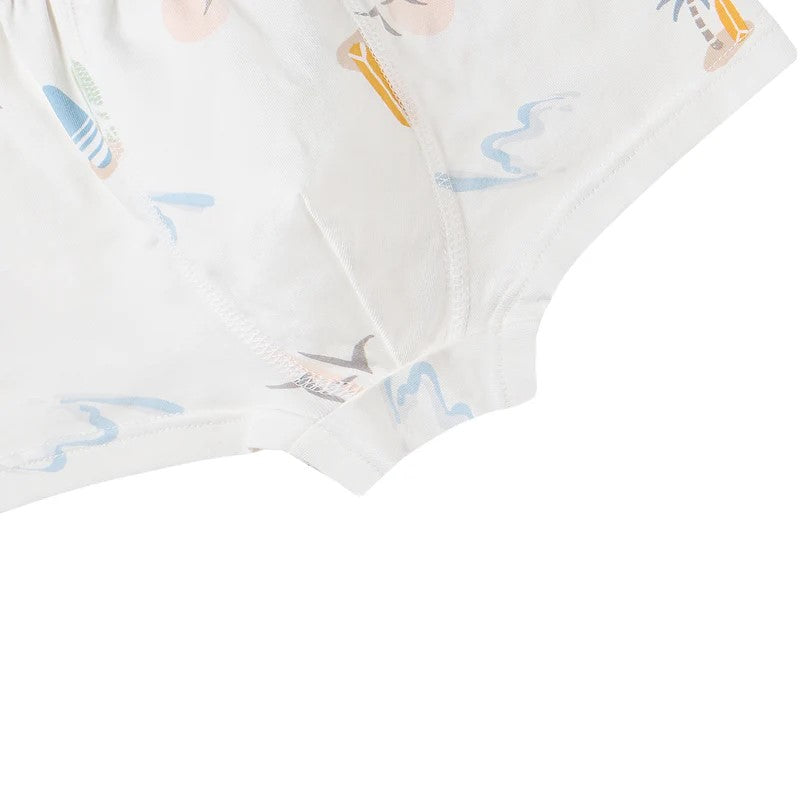 Nest Designs-Boys Boxer Briefs Underwear(2 Pack) - Surf Camp