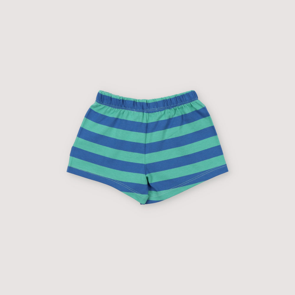 The New Society-Boys Blue Stripe Cotton Shorts