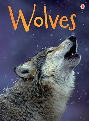 WOLVES - Cemarose Children's Fashion Boutique