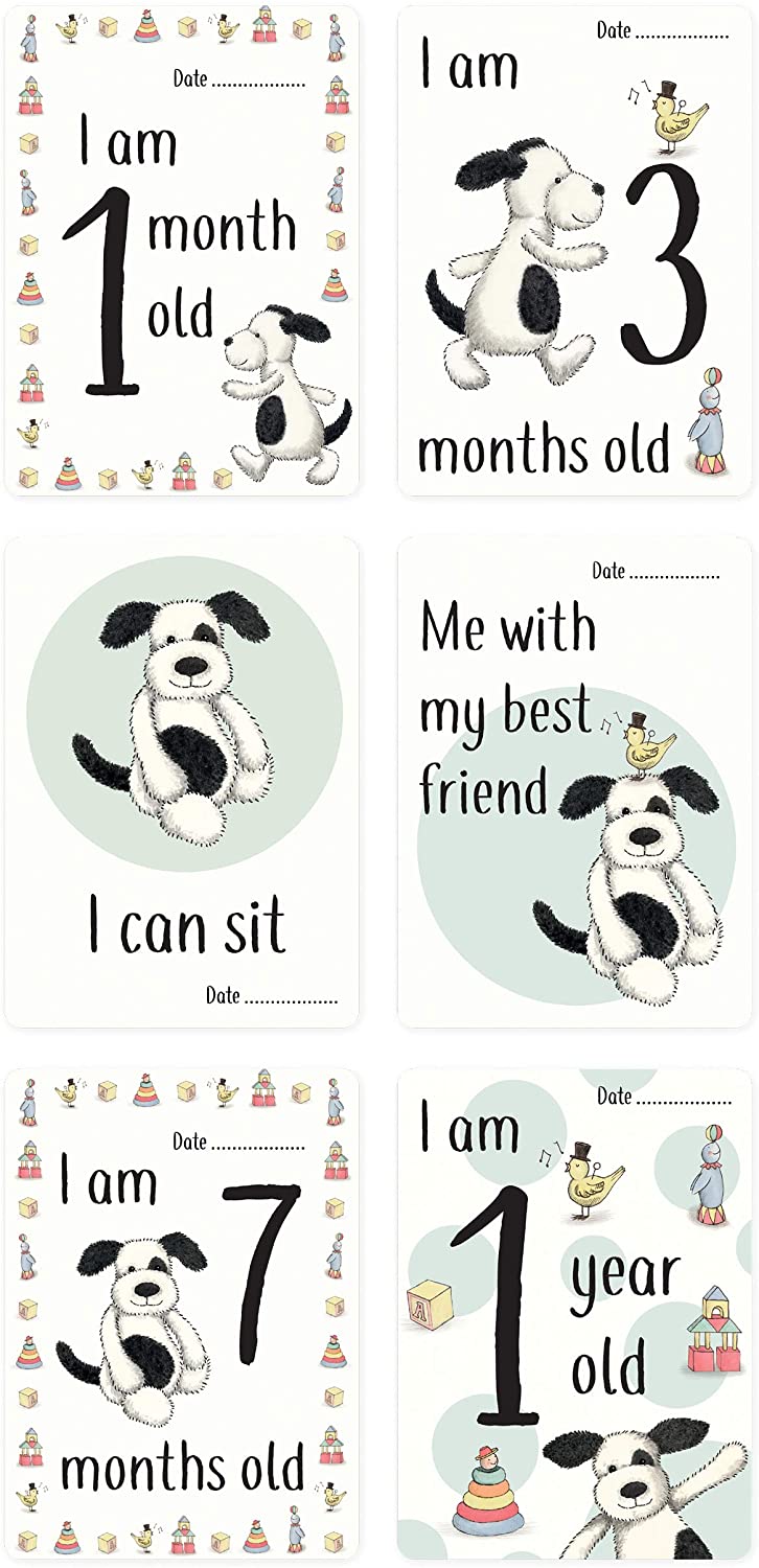 Bashful Puppy Baby's First Photo Cards - Cemarose Children's Fashion Boutique