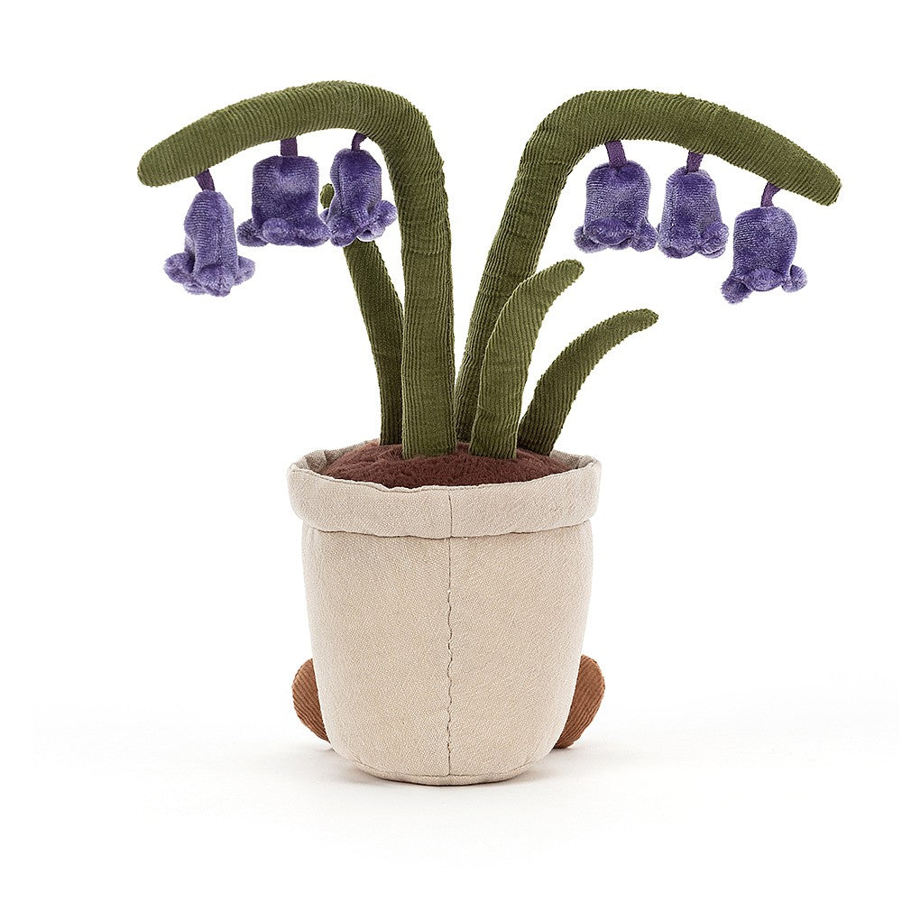 Amuseable Bluebell - Cémarose Canada