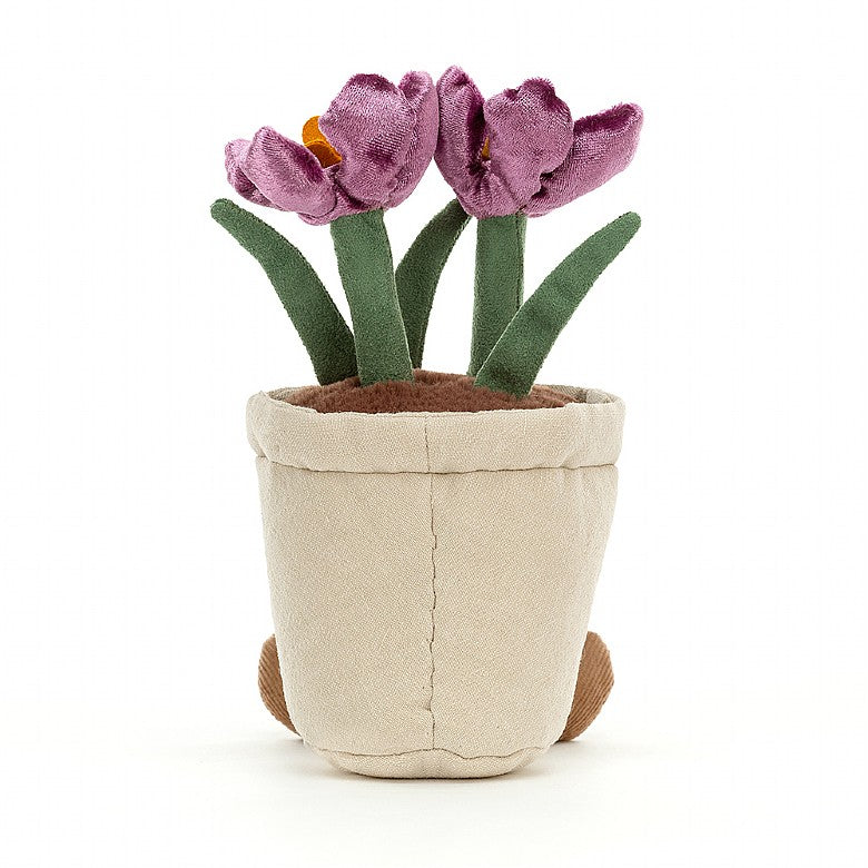 Amuseable Crocus