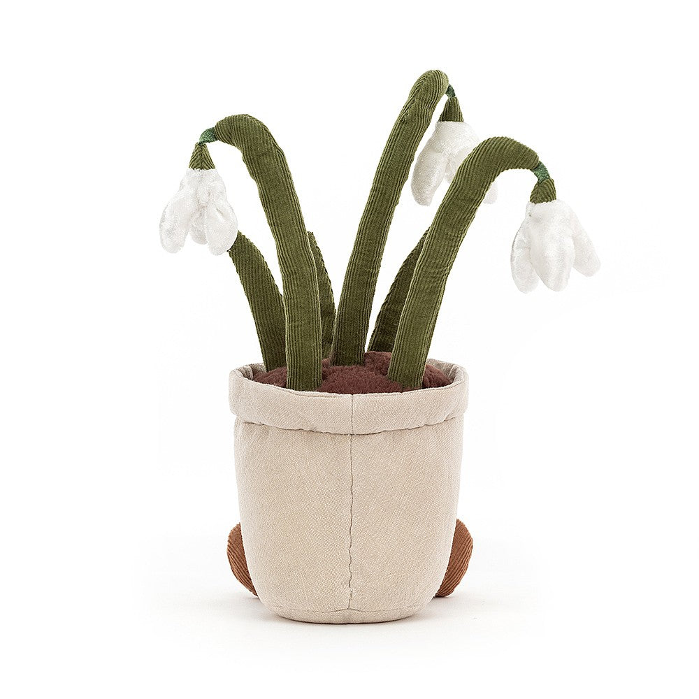 Amuseable Snowdrop - Cémarose Canada