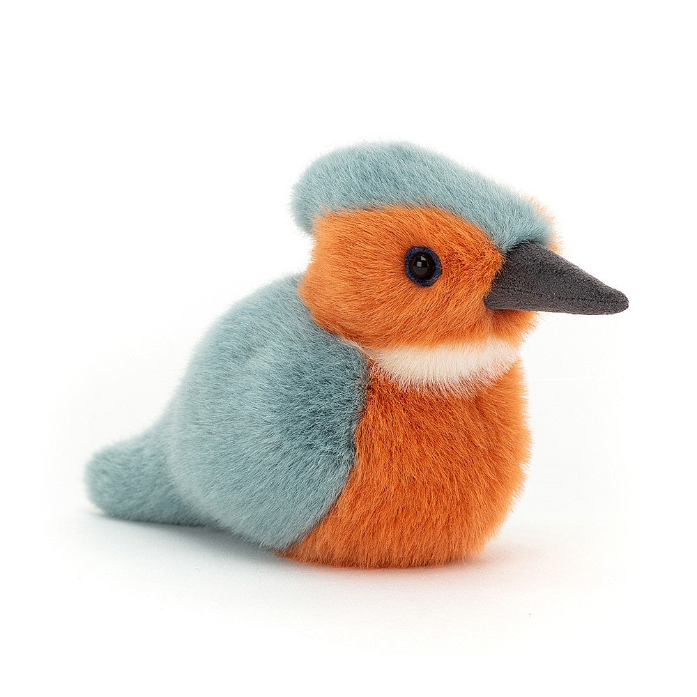 Birdling Kingfisher - Cémarose Canada